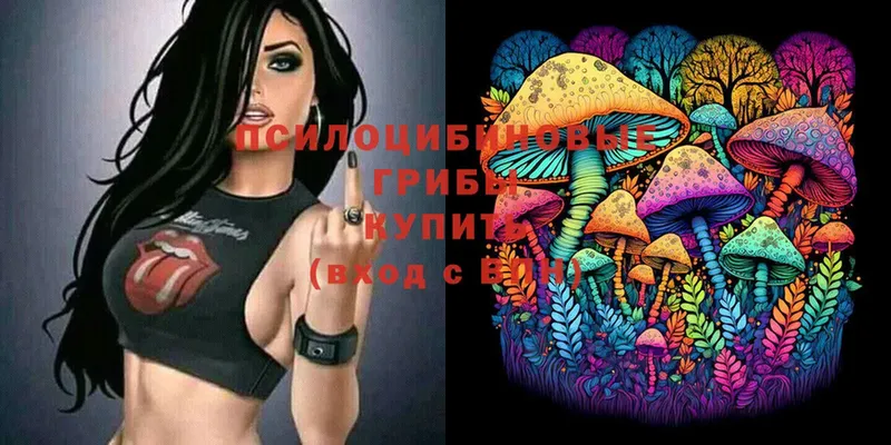 MEGA как войти  Армянск  Псилоцибиновые грибы Cubensis 